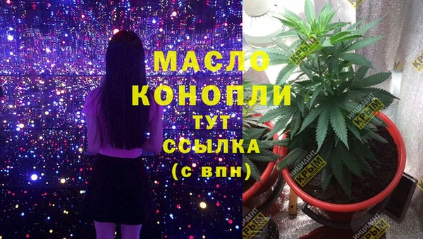 молекула духа Алзамай